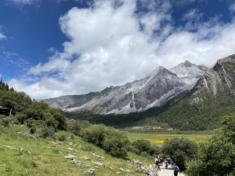 高原山峰树林