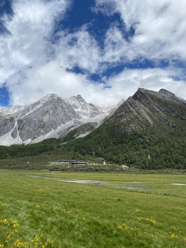 竖版高原山峰草原草甸