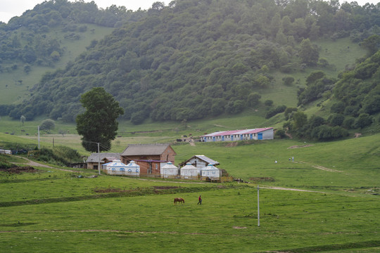 陕西关山牧场风光