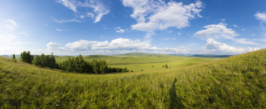 乌兰布统草原的夏季