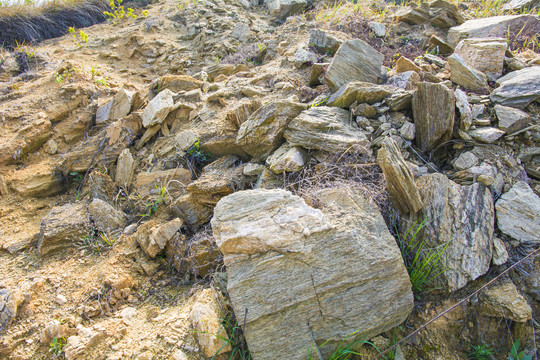 山地风化岩石