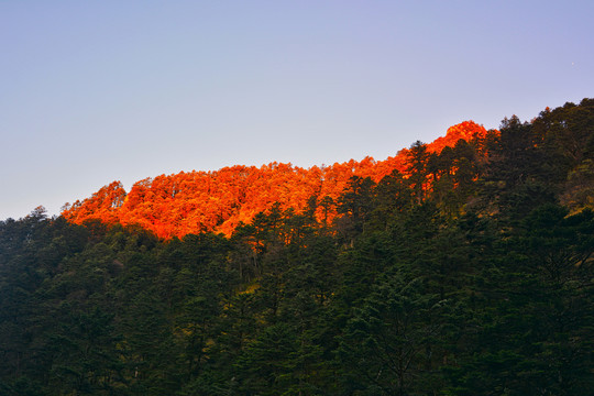 西岭雪山