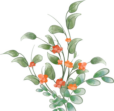 小清新水彩風(fēng)橙色花朵枝葉插畫