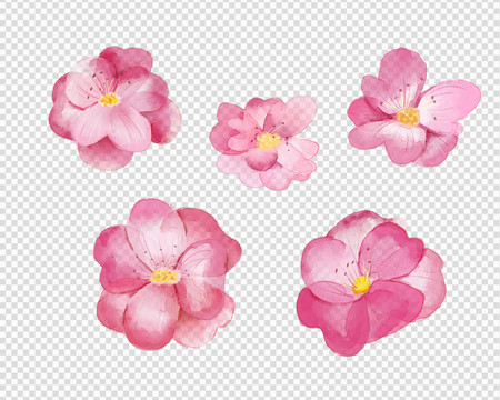 小清新水彩風(fēng)粉色花卉花朵插畫(huà)