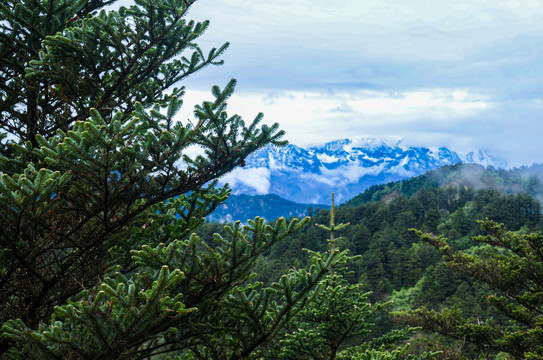 西岭雪山