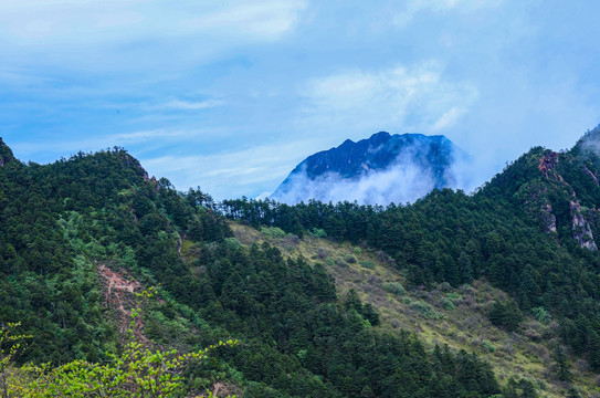 西岭雪山