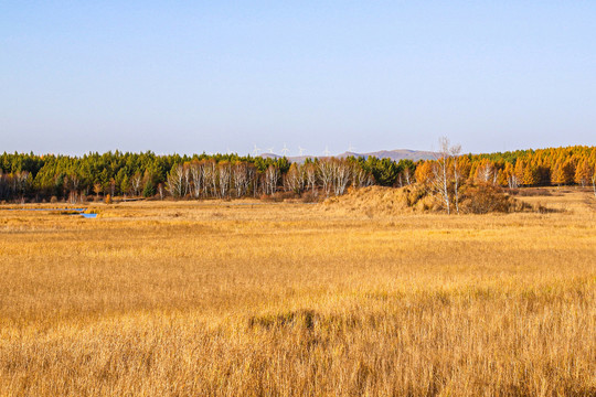 乌兰布统草原秋景