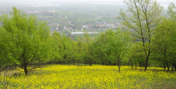 山下春色