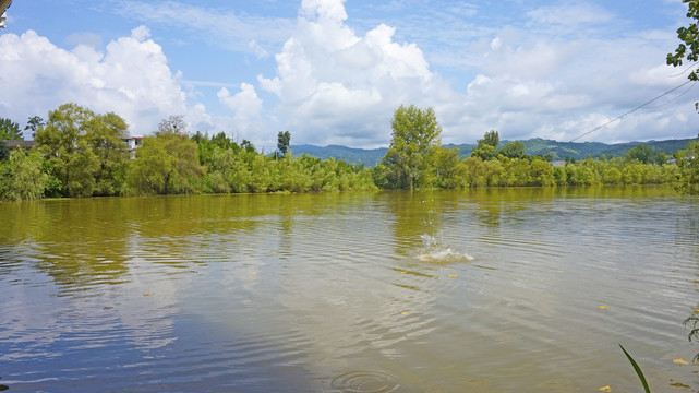 龙湖湿地公园34