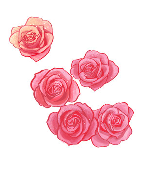 手绘植物卡通粉红玫瑰花朵插画