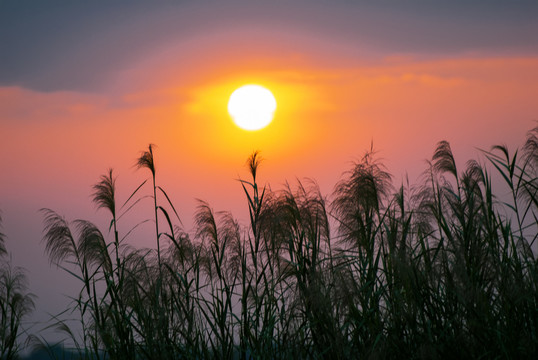 黄昏夕阳