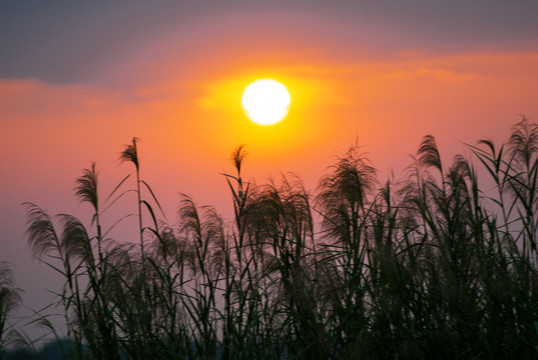 黄昏夕阳