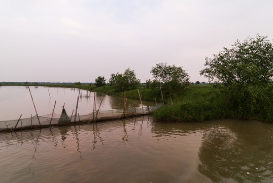 湿地公园的黄昏