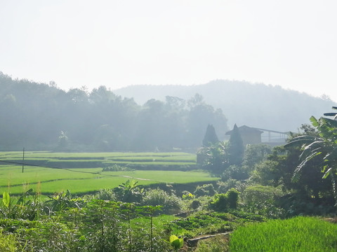 坎市镇文馆村