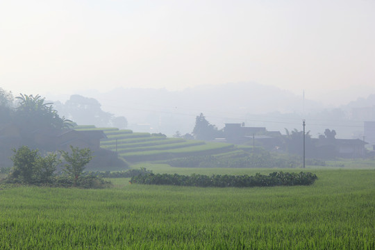 文馆美景