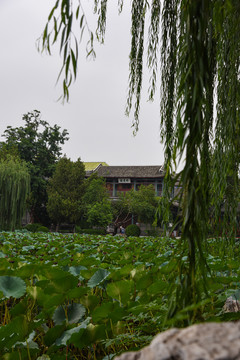 河北保定古莲花池景区直隶图书馆