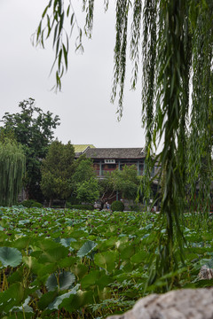 河北保定古莲花池景区直隶图书馆