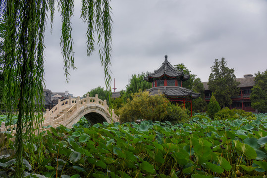 河北保定古莲花池景区直隶图书馆