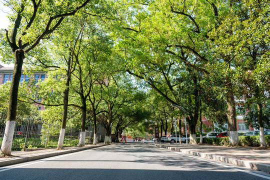 中南大学本部新民路