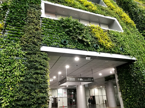 環(huán)保建筑