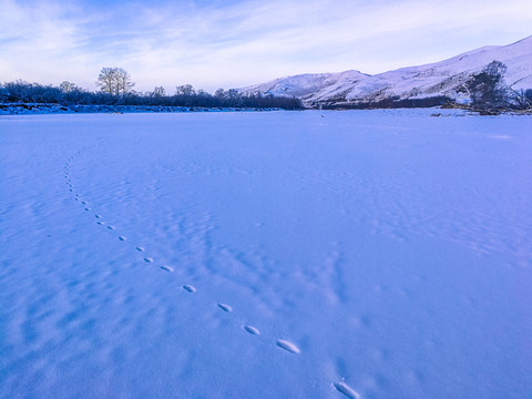 雪地脚印