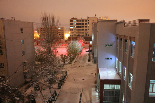 都市雪夜