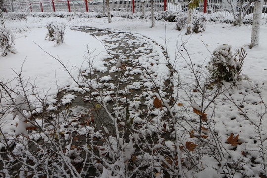 落雪的小路