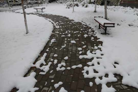 落雪的小路