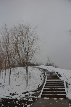 山坡阶梯