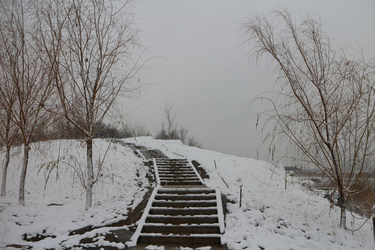 山坡小路