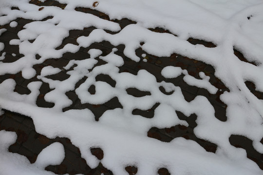 雪地