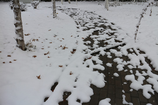 雪地小路