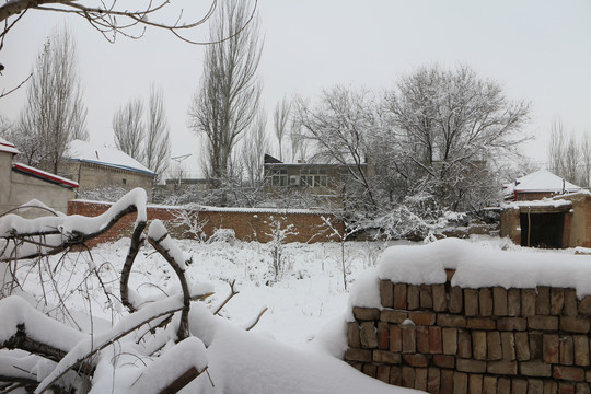 雪后的农家院