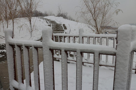 雪中栅栏