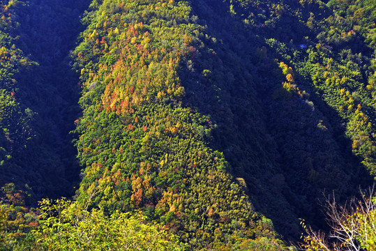 台湾桃园市山林美景