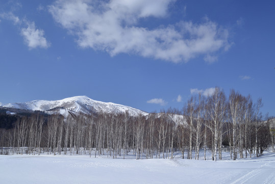 北海道的冬天