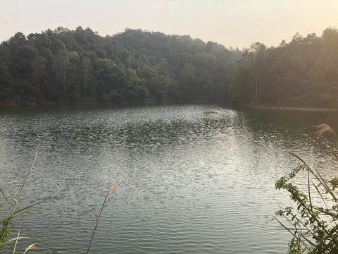 新会天鹅湖景区一角