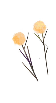 手绘植物卡通黄色花朵花卉插画