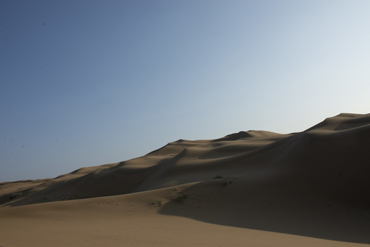 沙漠景观