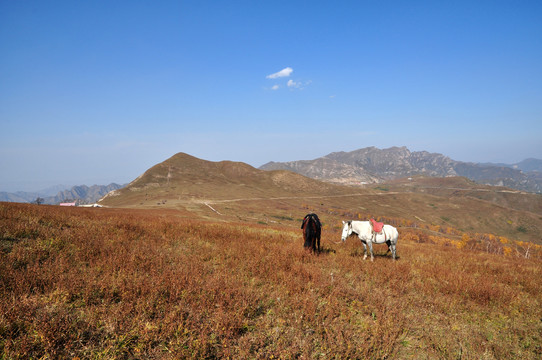 北京灵山