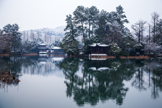 杭州西湖曲院风荷雪色