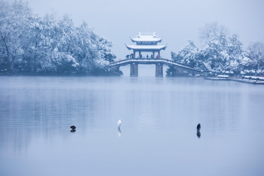 杭州西湖曲院风荷雪色