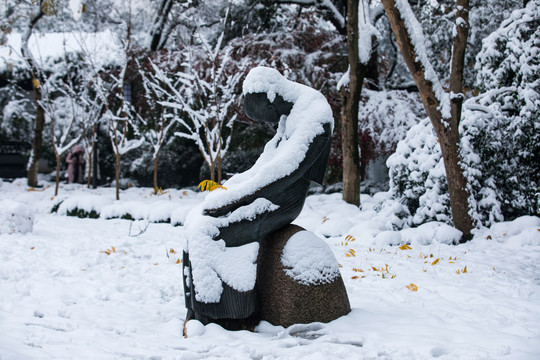 杭州西湖曲院风荷雪色