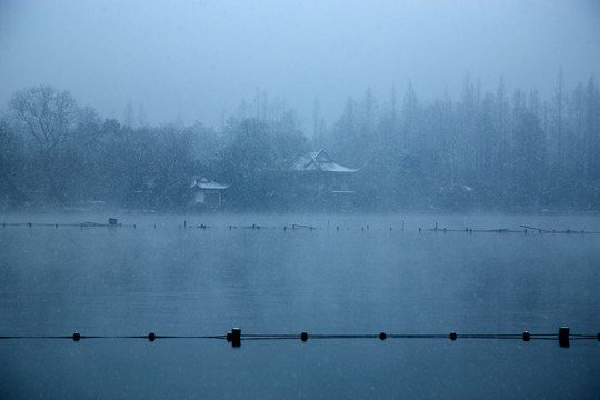 杭州西湖花港观鱼公园雪韵