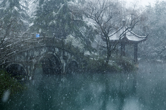 杭州西湖花港观鱼公园雪韵