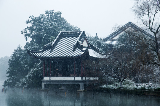 杭州西湖花港观鱼公园雪韵