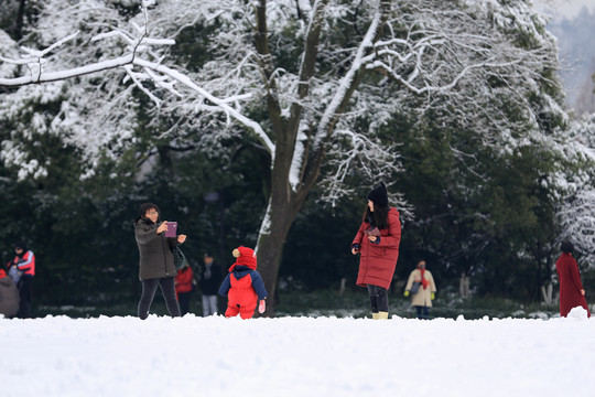 杭州西湖花港观鱼公园雪韵