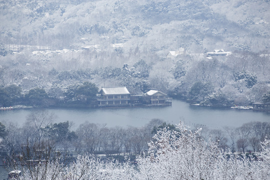 杭州西湖花港观鱼公园雪韵