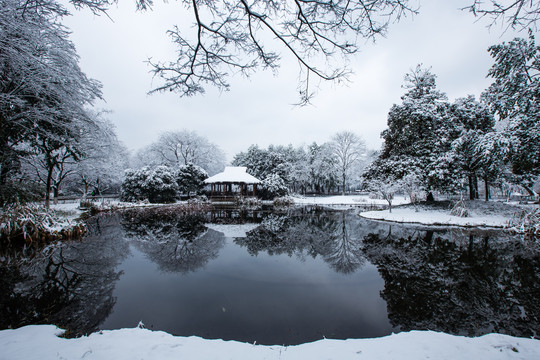 杭州茅家埠雪韵