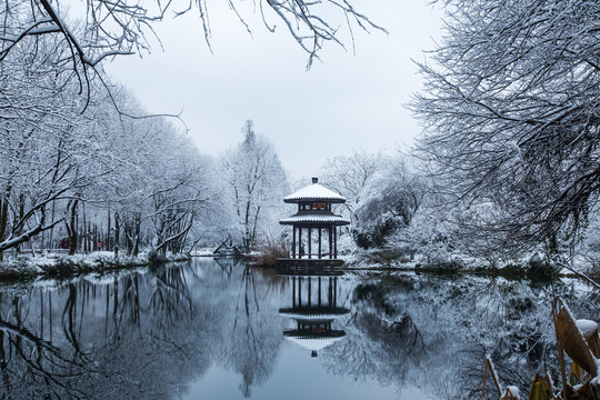 杭州茅家埠雪韵